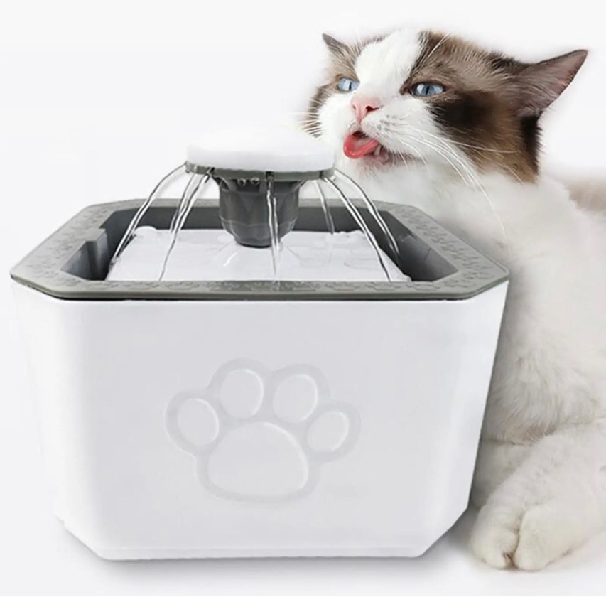 DI Fuente Bebedero Mascota